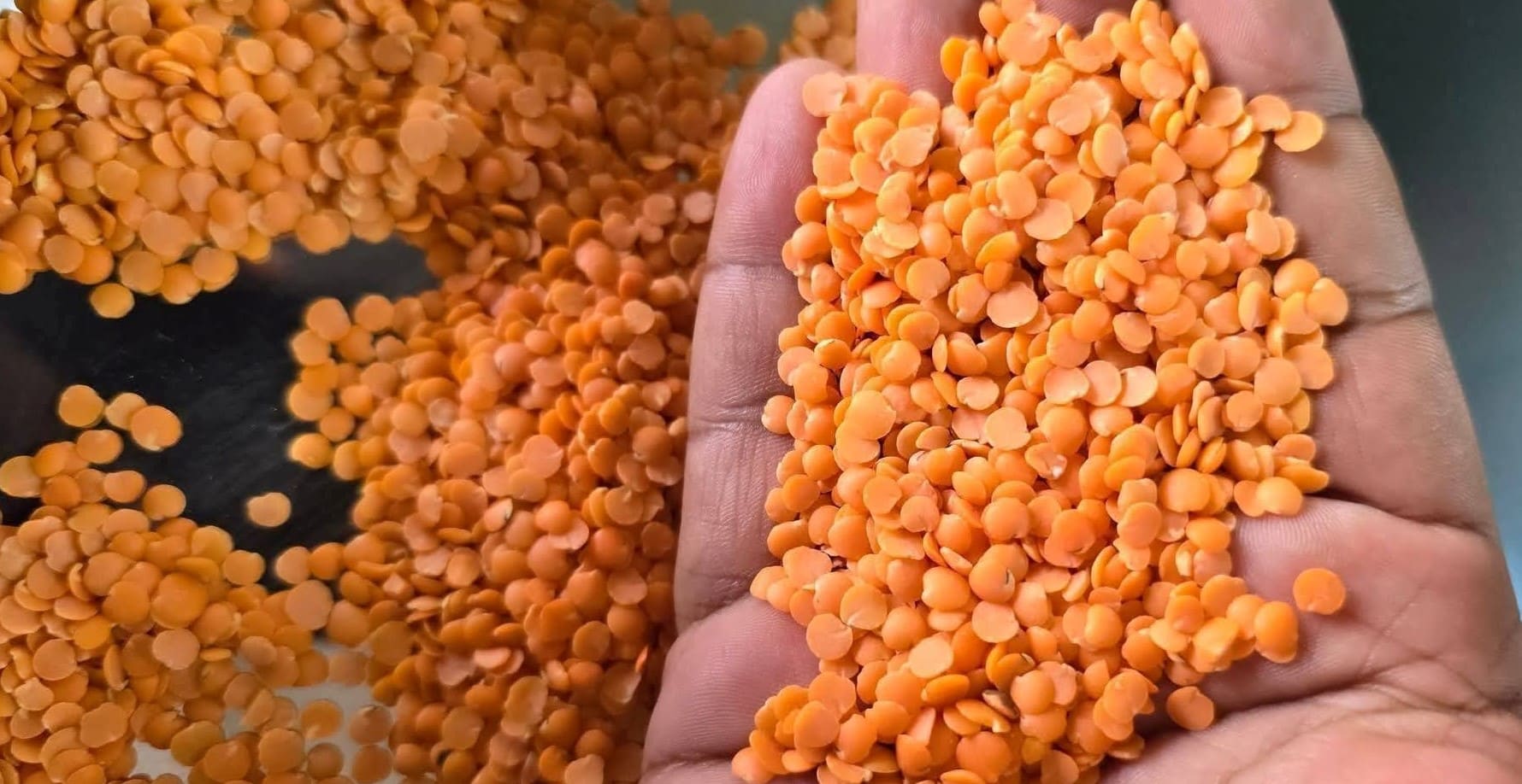 Red Lentils (Masoor Dal) 