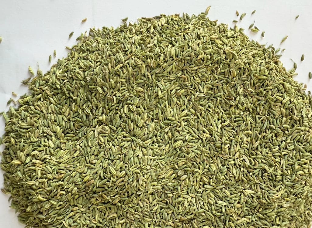 Fennel Seeds 