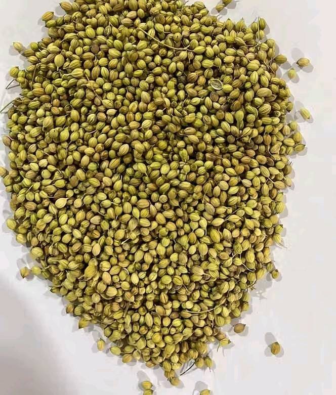 Coriander Seeds 