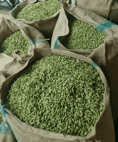  Green Cardamom 