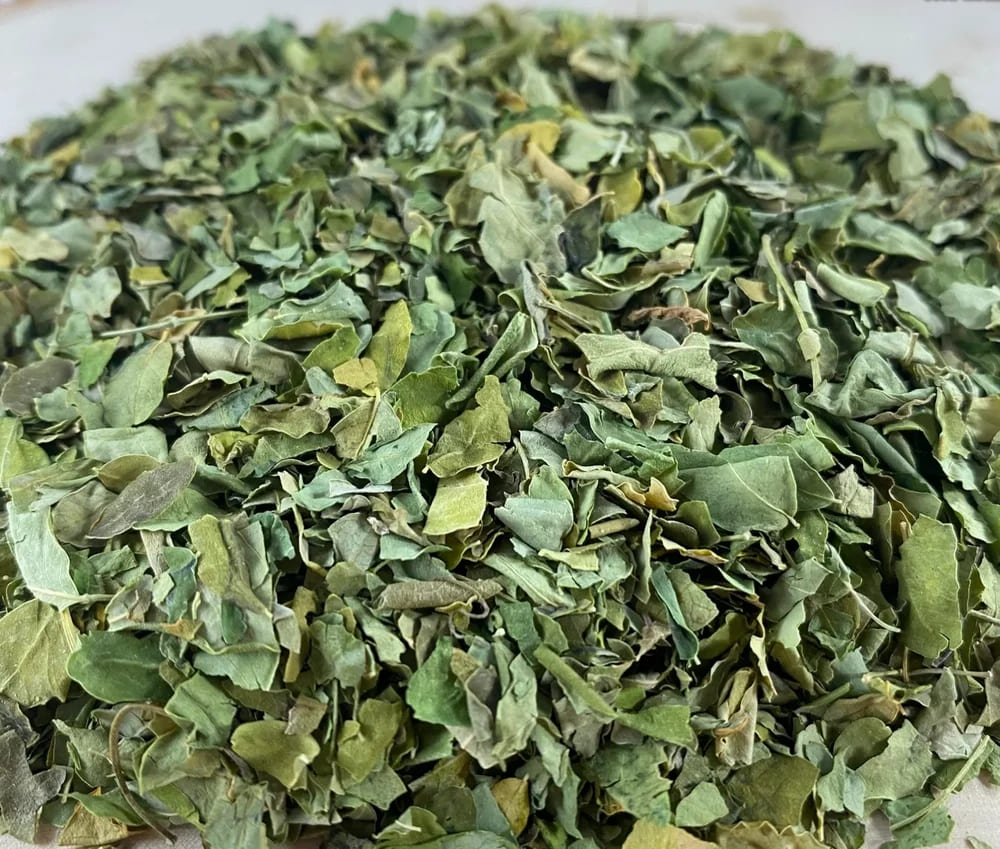 Moringa Dried Leaves 